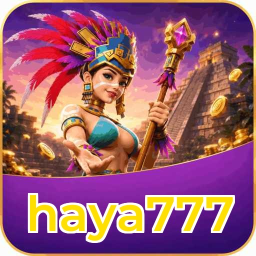 Audit profile haya777